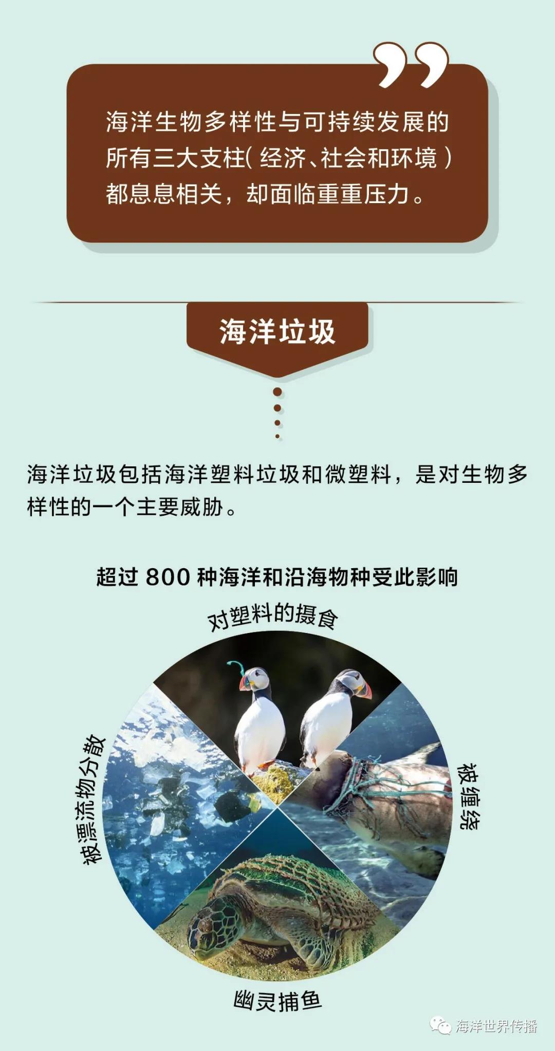 微信圖片_20210609171305.jpg