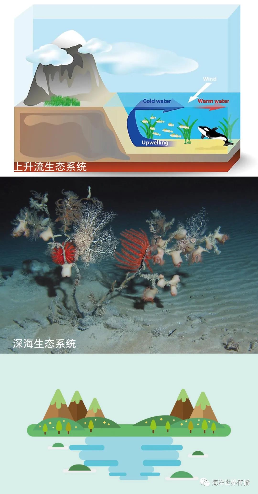 微信圖片_20210609172103.jpg