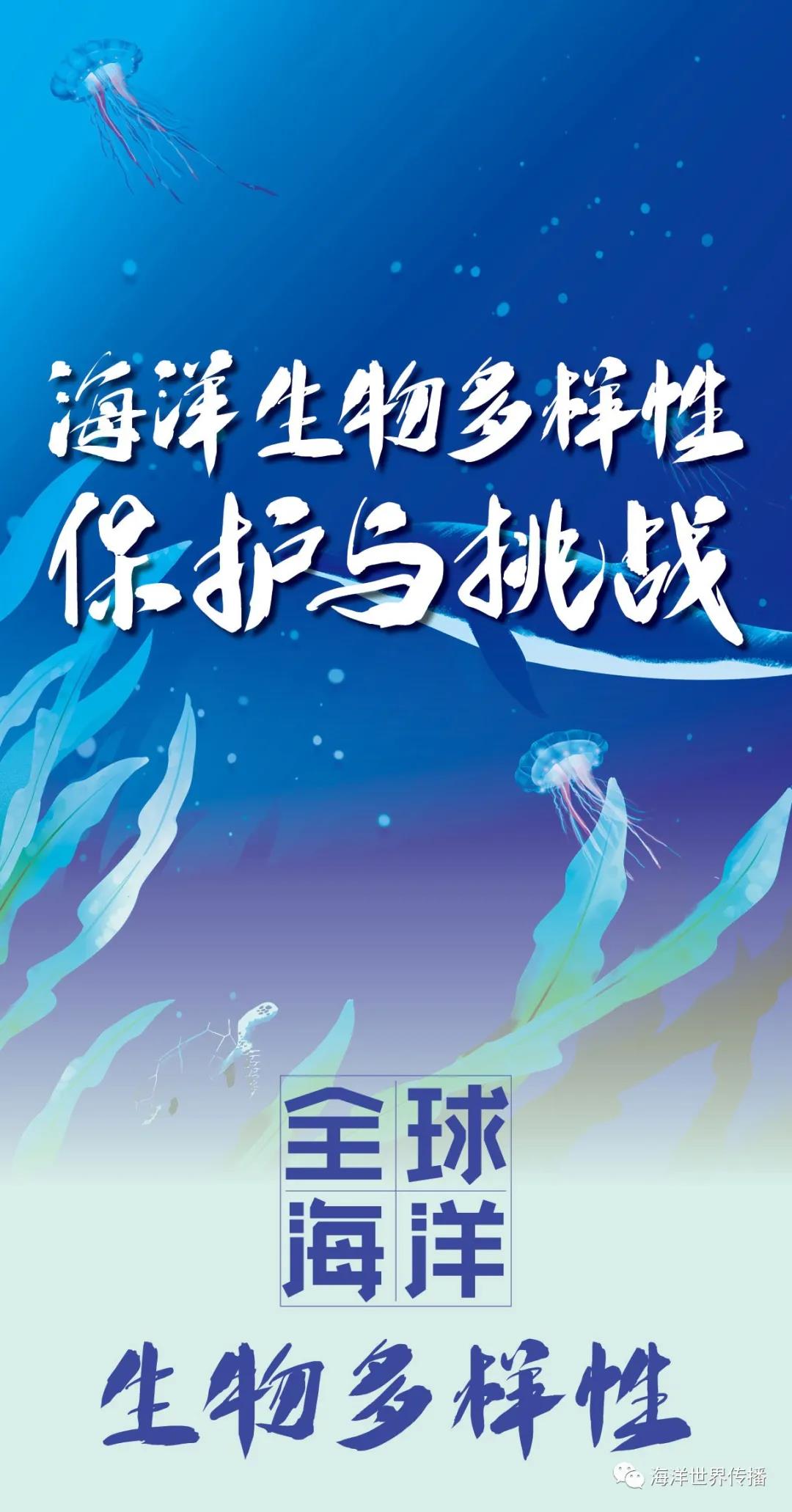 微信圖片_20210609170727.jpg